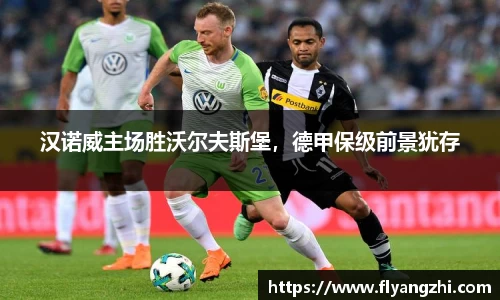 汉诺威主场胜沃尔夫斯堡，德甲保级前景犹存