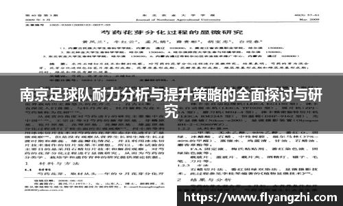 南京足球队耐力分析与提升策略的全面探讨与研究
