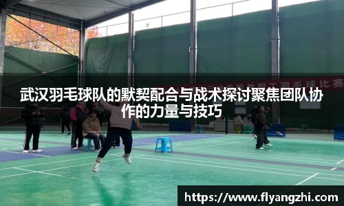 武汉羽毛球队的默契配合与战术探讨聚焦团队协作的力量与技巧