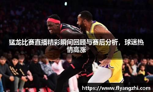 猛龙比赛直播精彩瞬间回顾与赛后分析，球迷热情高涨