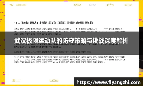武汉极限运动队的防守策略与挑战深度解析