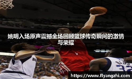 姚明入场原声震撼全场回顾篮球传奇瞬间的激情与荣耀
