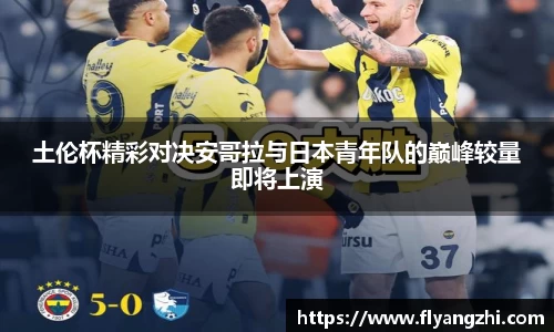 半岛·BOB官方网站