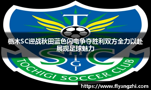 枥木SC迎战秋田蓝色闪电争夺胜利双方全力以赴展现足球魅力