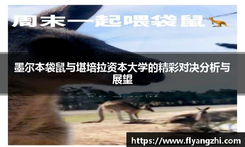墨尔本袋鼠与堪培拉资本大学的精彩对决分析与展望