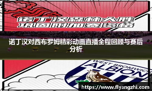 诺丁汉对西布罗姆精彩动画直播全程回顾与赛后分析