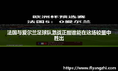 法国与爱尔兰足球队激战正酣谁能在这场较量中胜出