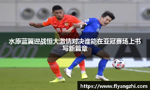 BoB半岛·体育中国官方网站