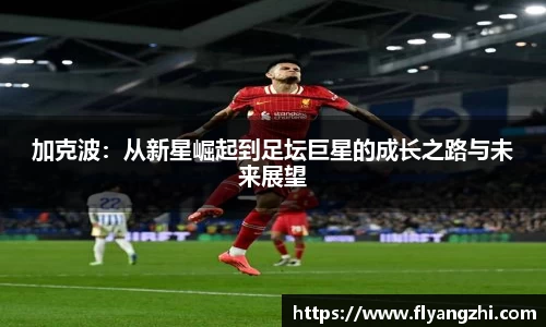 BoB半岛·体育中国官方网站