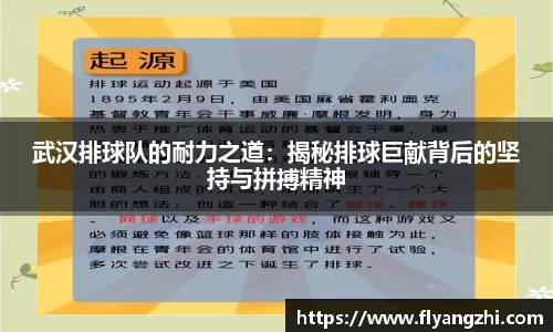 BoB半岛·体育中国官方网站