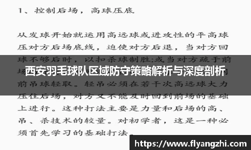 西安羽毛球队区域防守策略解析与深度剖析