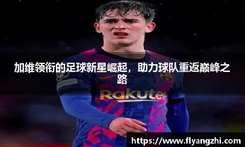 半岛bob·官方网站