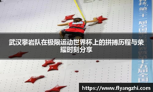 半岛·BOB官方网站